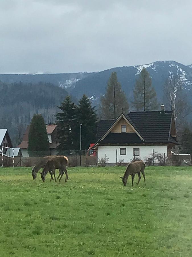 A3Apartament 2 Pokojowy Aneks Kuchenny 2 Lazienki Wlasne Na Korytarzu Villa Jumper Pobyt Na Termach Dla 2 Osob Gratis Закопане Екстер'єр фото